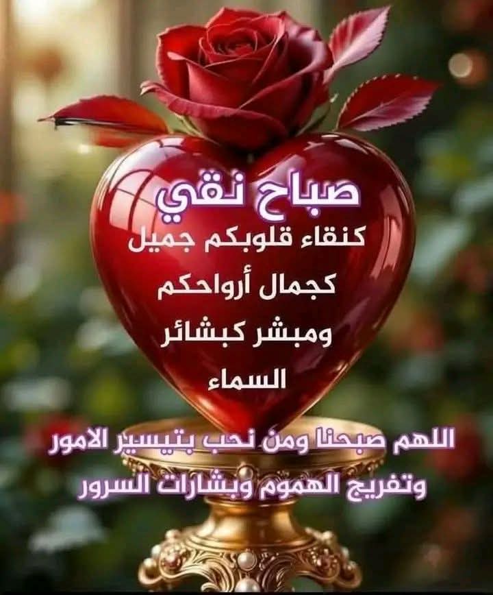 smail mizi tweet media