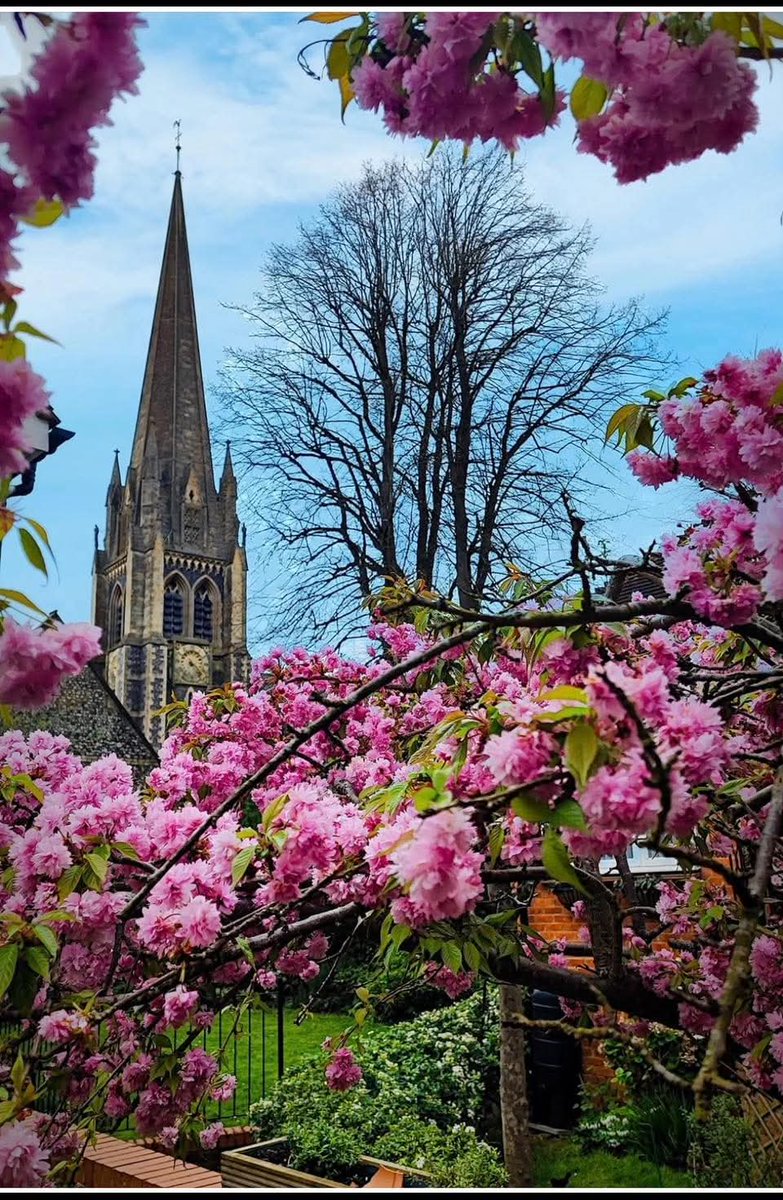 MOIZ ESUFALLY tweet media