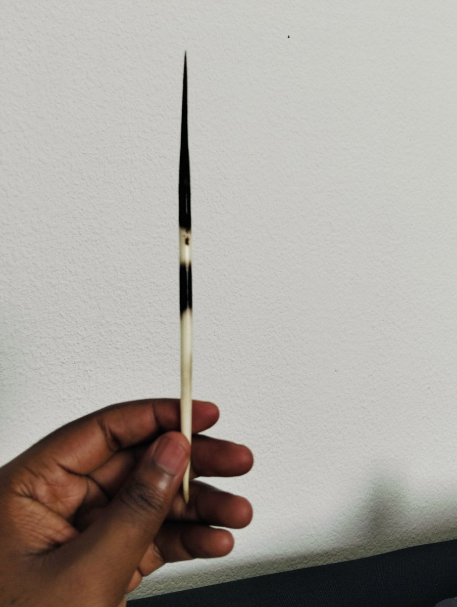 Kgosi_Neo tweet media