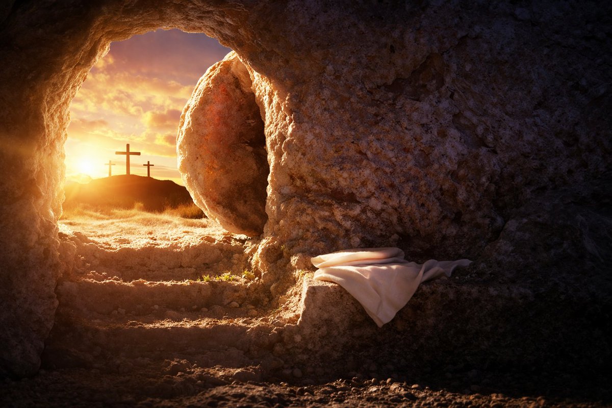 PRECIOUS | | tweet media