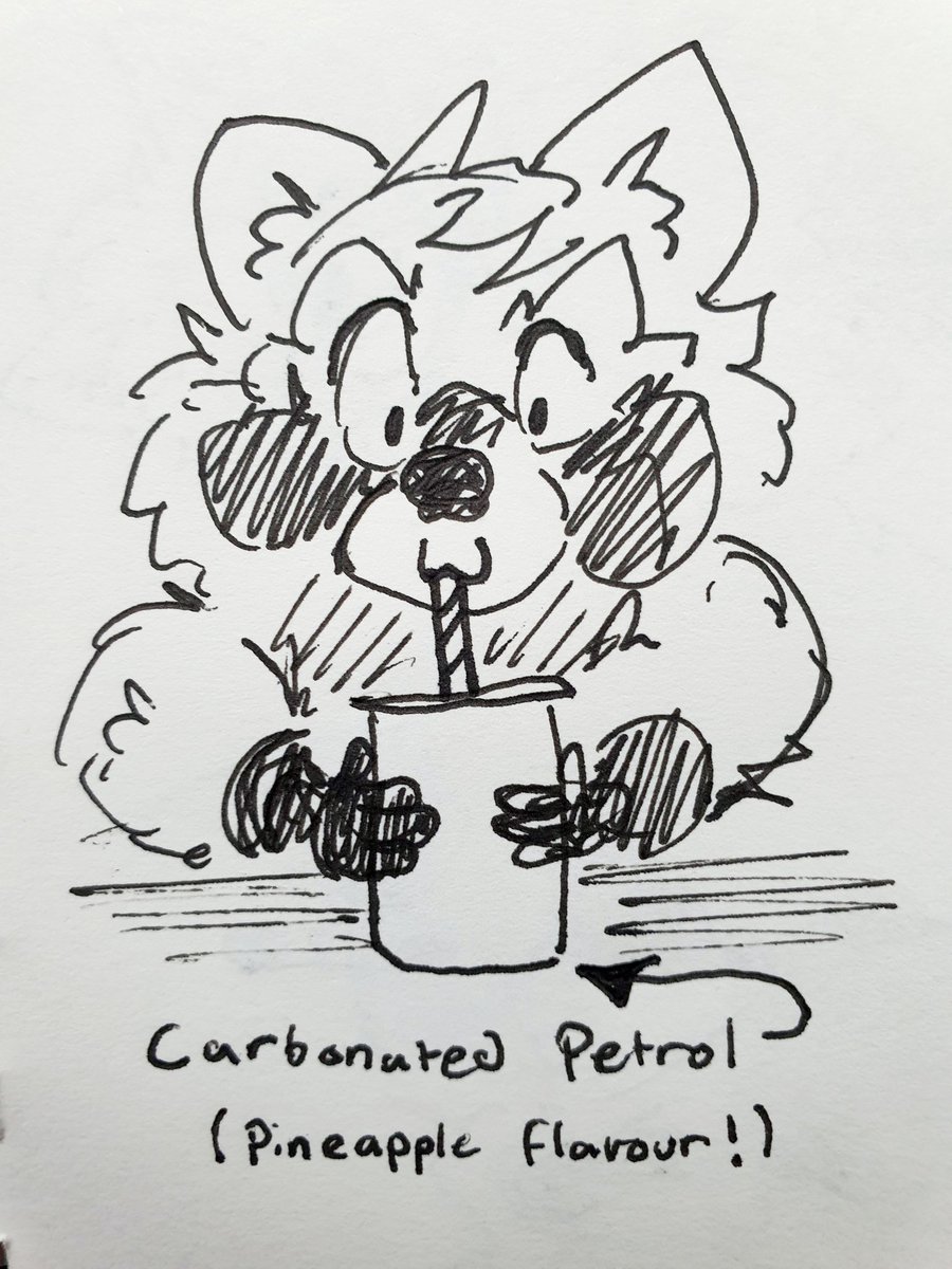 Morgy 🦝Raccoon tweet media