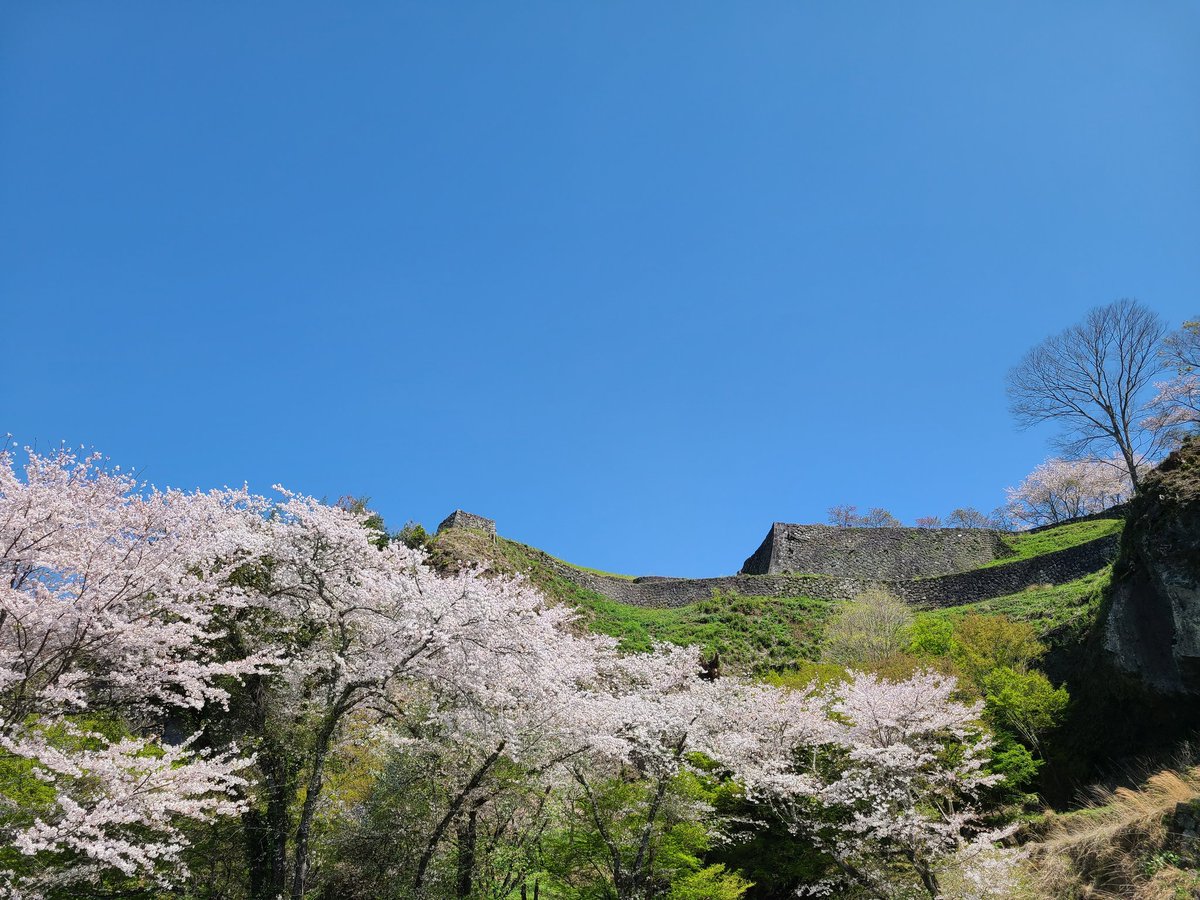 ぽんぽん tweet media