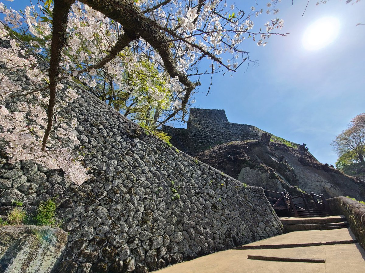 ぽんぽん tweet media