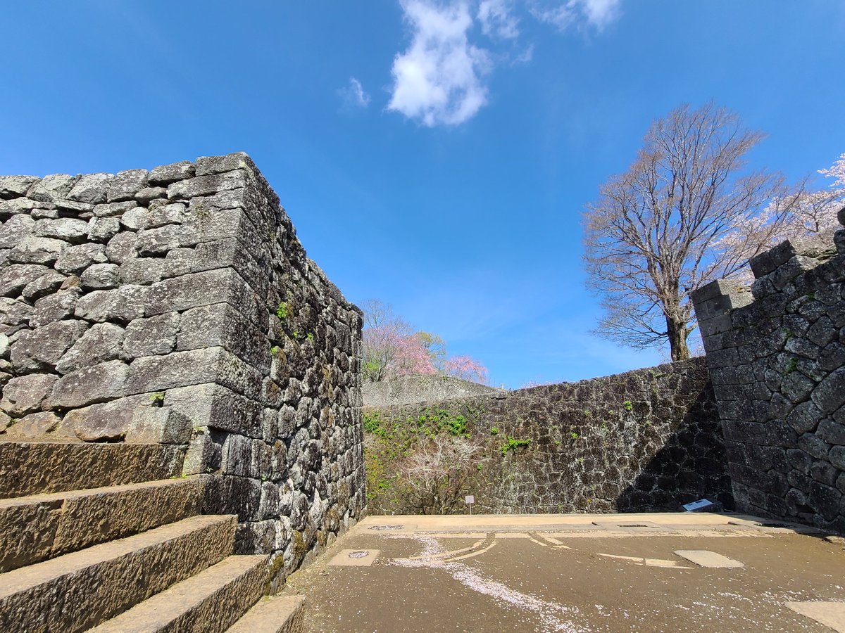 ぽんぽん tweet media