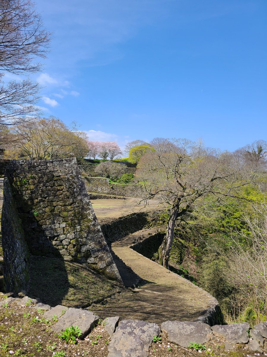 ぽんぽん tweet media