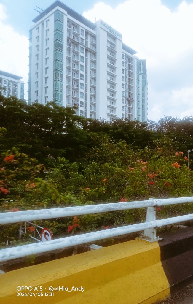 𝕄𝕚𝕒_𝟜ℕ𝕕𝕪 tweet media