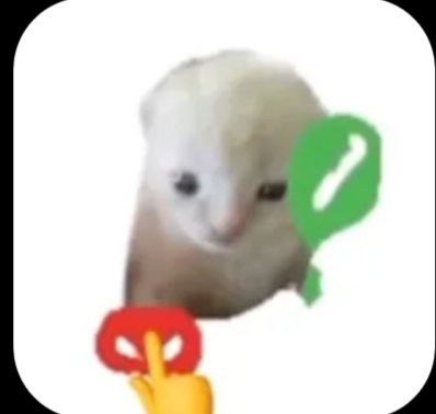 Shoon pp🫧(2) tweet media