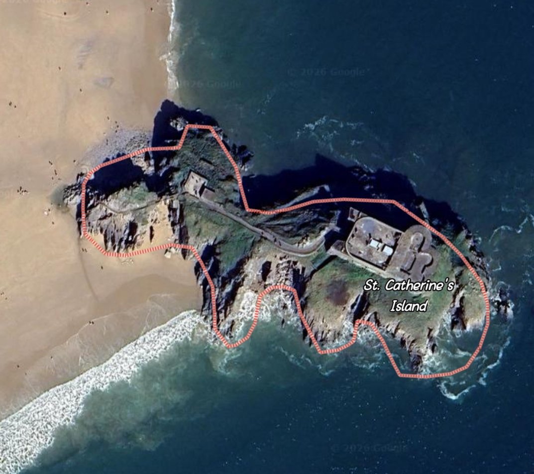 Rigel Saiph tweet media