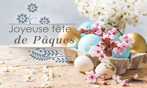 Leone 🕊️ tweet media