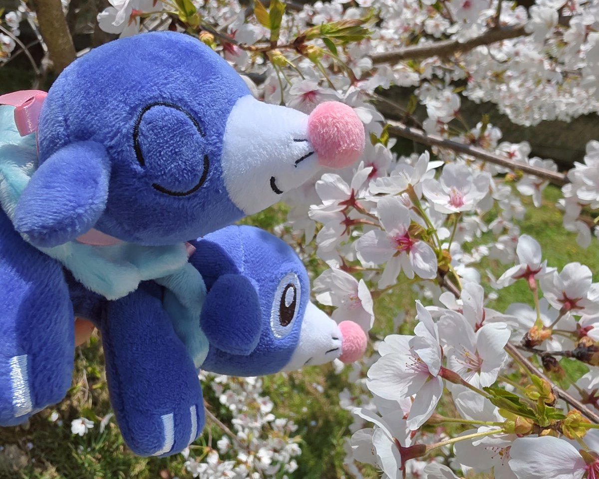 제감초 tweet media