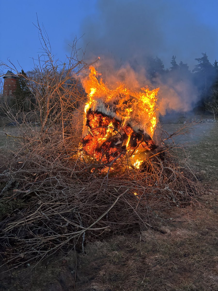 Udda Boktips, PhD tweet media