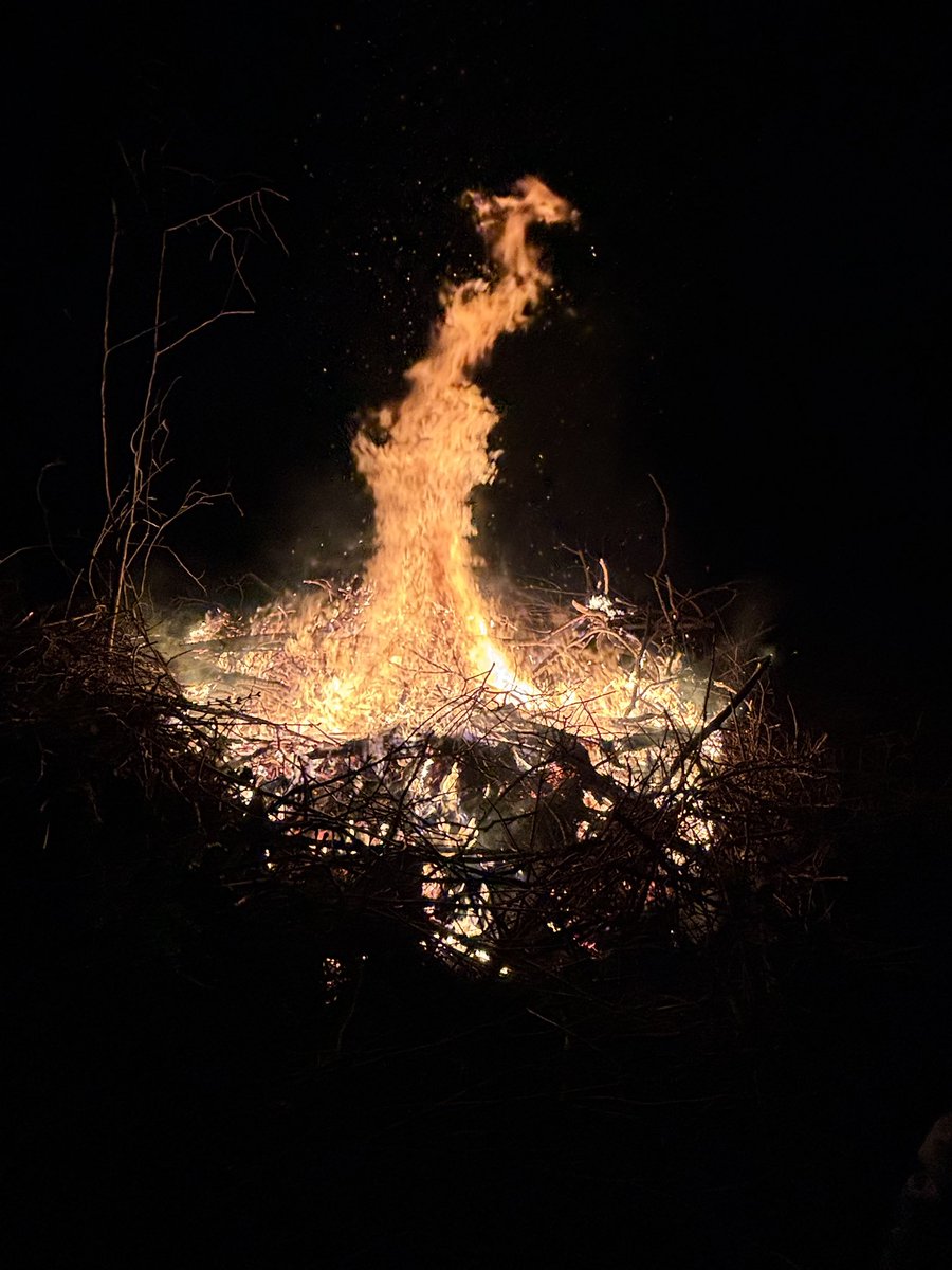 Udda Boktips, PhD tweet media