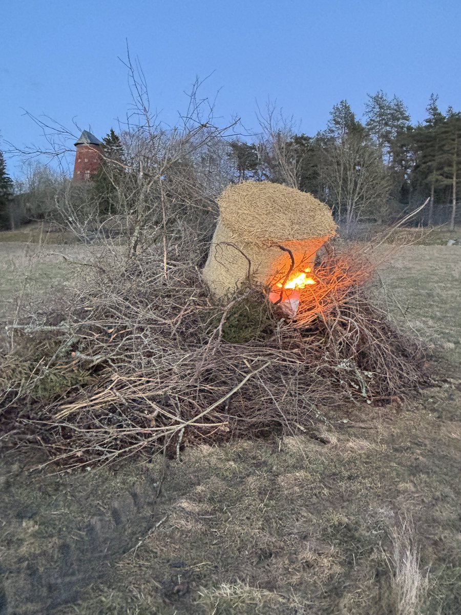 Udda Boktips, PhD tweet media