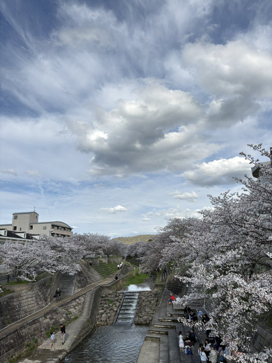 ぴ〜よこ tweet media