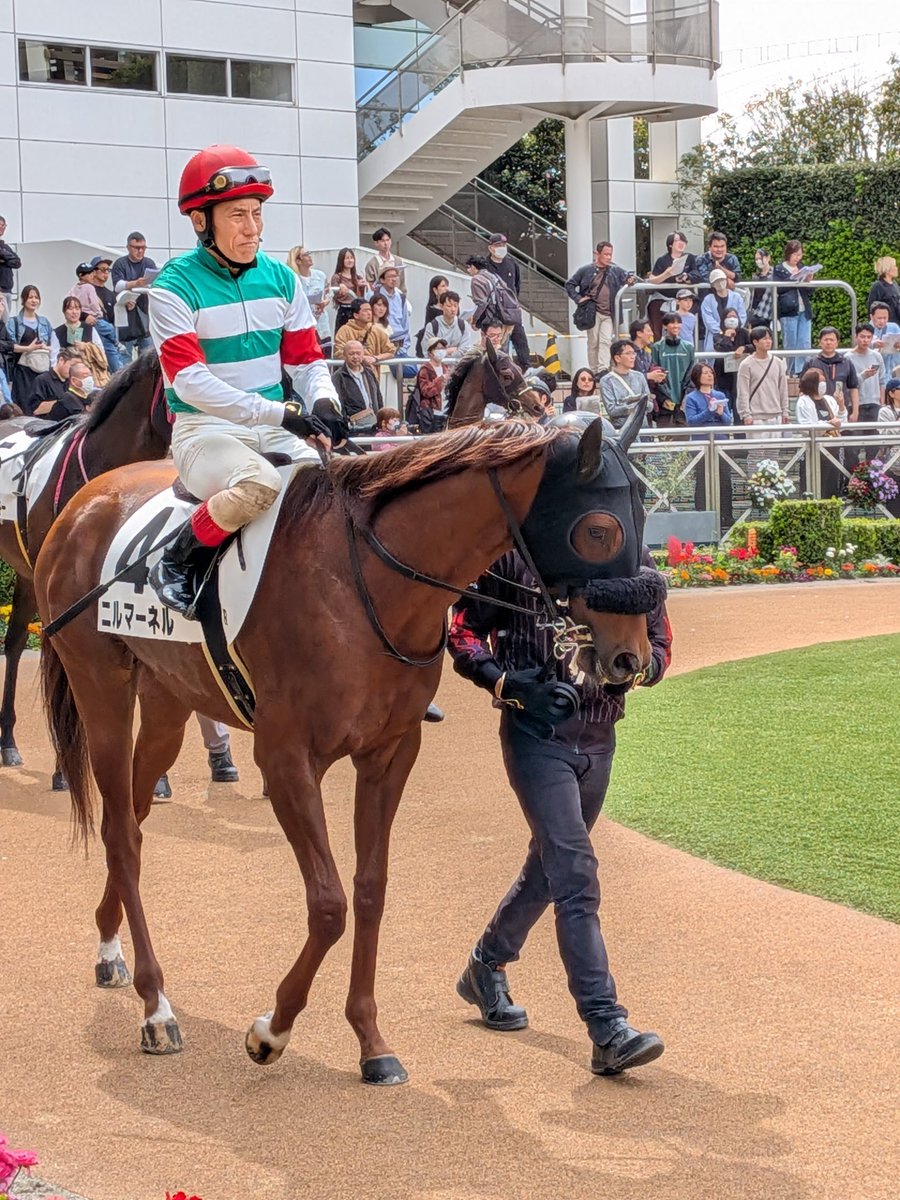 だいき tweet media