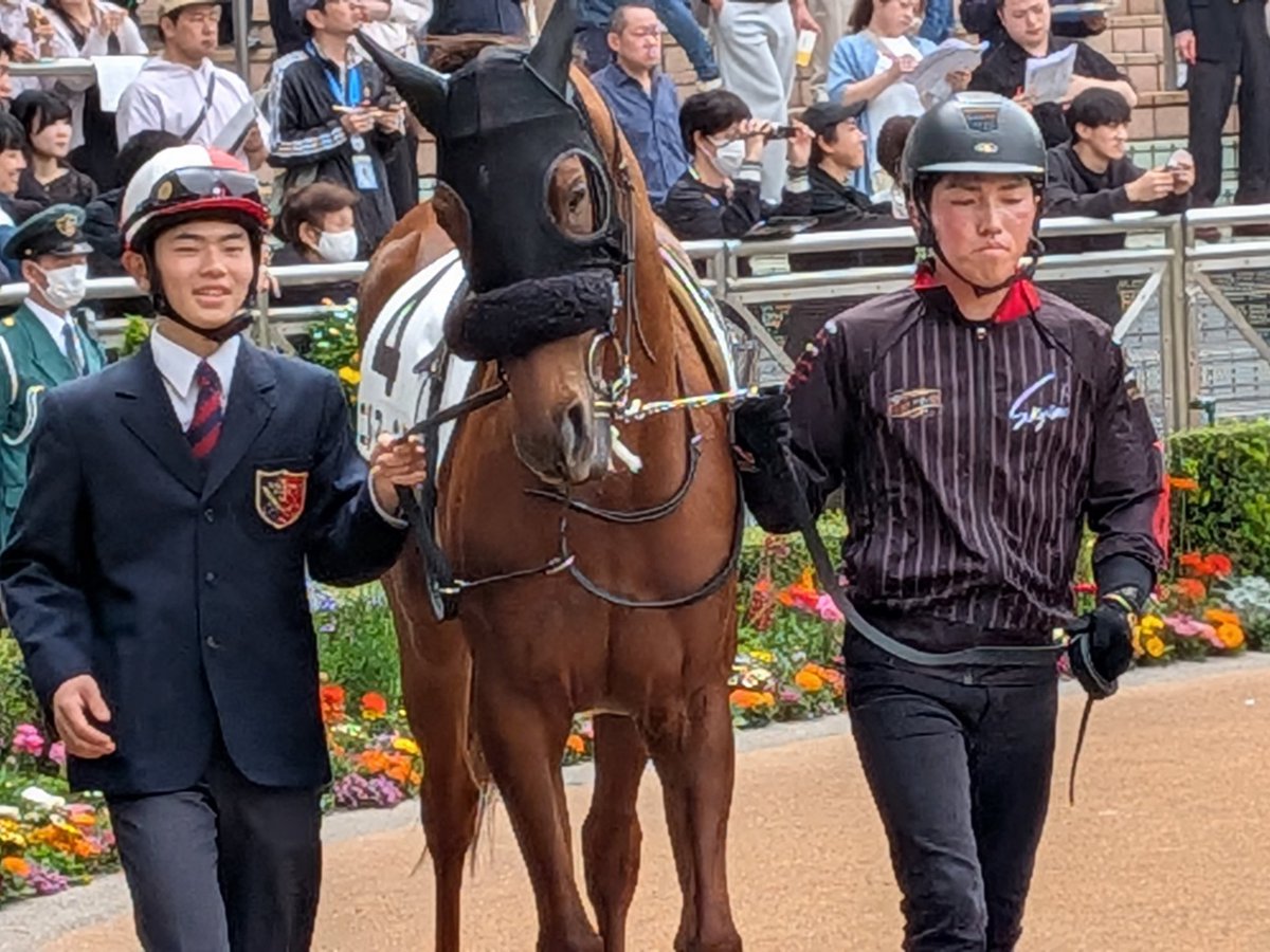 だいき tweet media