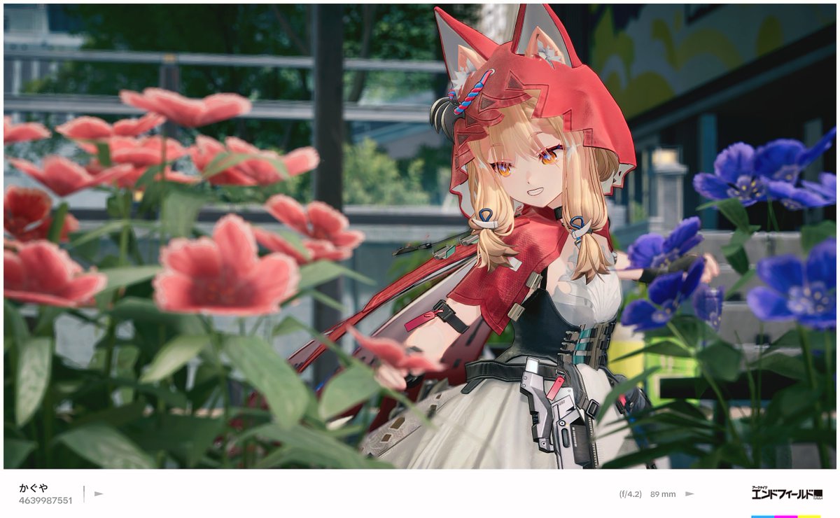 Kaguya_Hsr tweet media