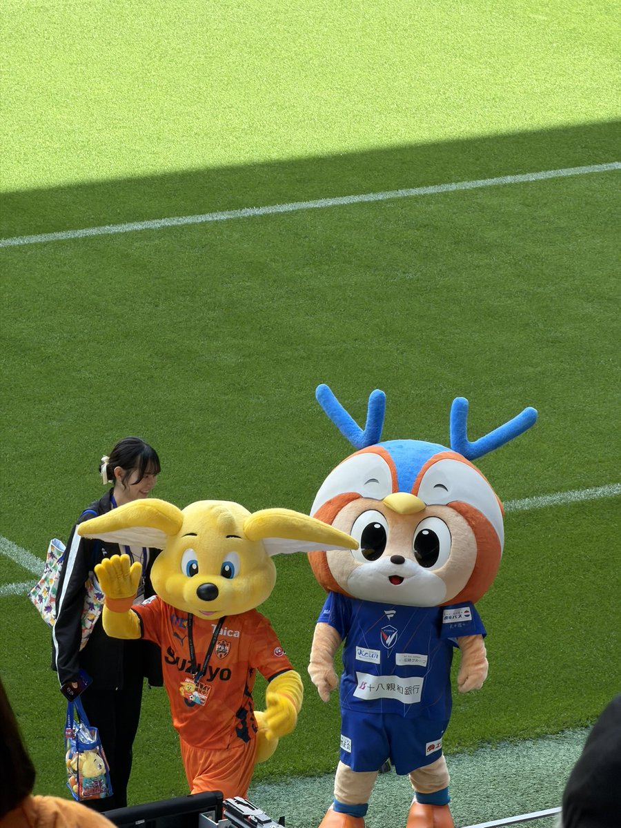 deshi_pulse's tweet image. 我が家にはアウェイで勝った場合に限りマスコットを持ち帰ることができるというルールがあり、ようやくずっとお持ち帰りしたかったヴィヴィくんを連れて帰ることができました😂
#spulse #清水サポ長崎遠征 #ヴィヴィくん