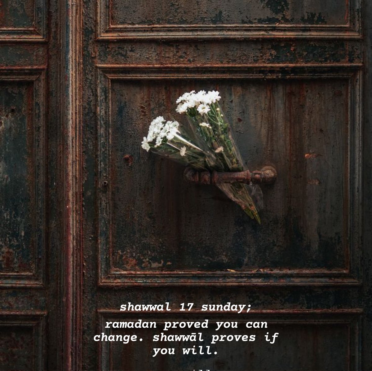 ClickBank136317's tweet photo. https://t.co/mIz9HfWYc1