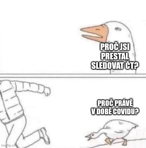 Yossi🌐 tweet media