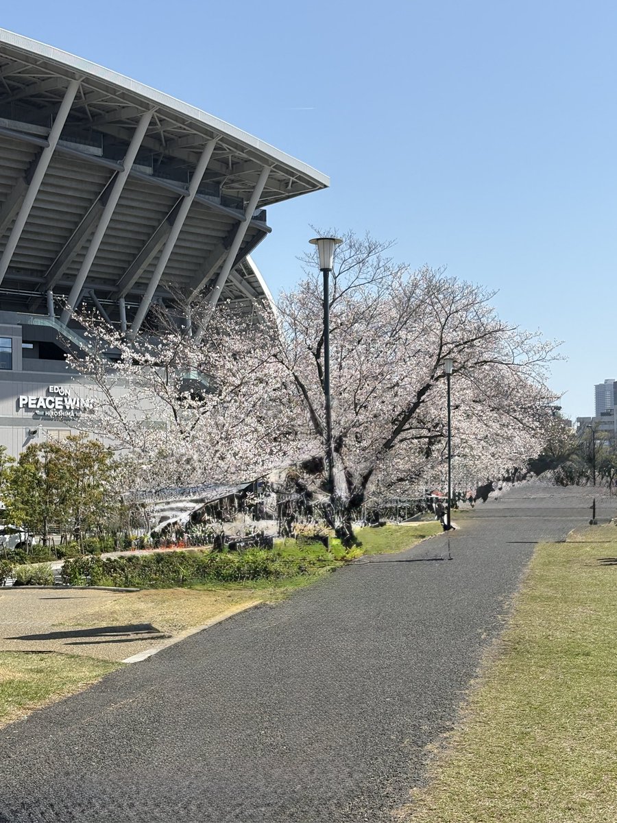 🥝ワカちゃん🌹旧ワカチコ tweet media