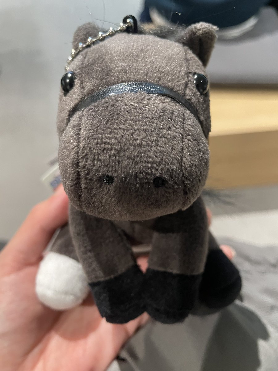 かもめンススズカ🐴✨⚾️🦅孔球部⛳️⛳メンバー制️🛳🇯🇵🇷🇺🛩 tweet media