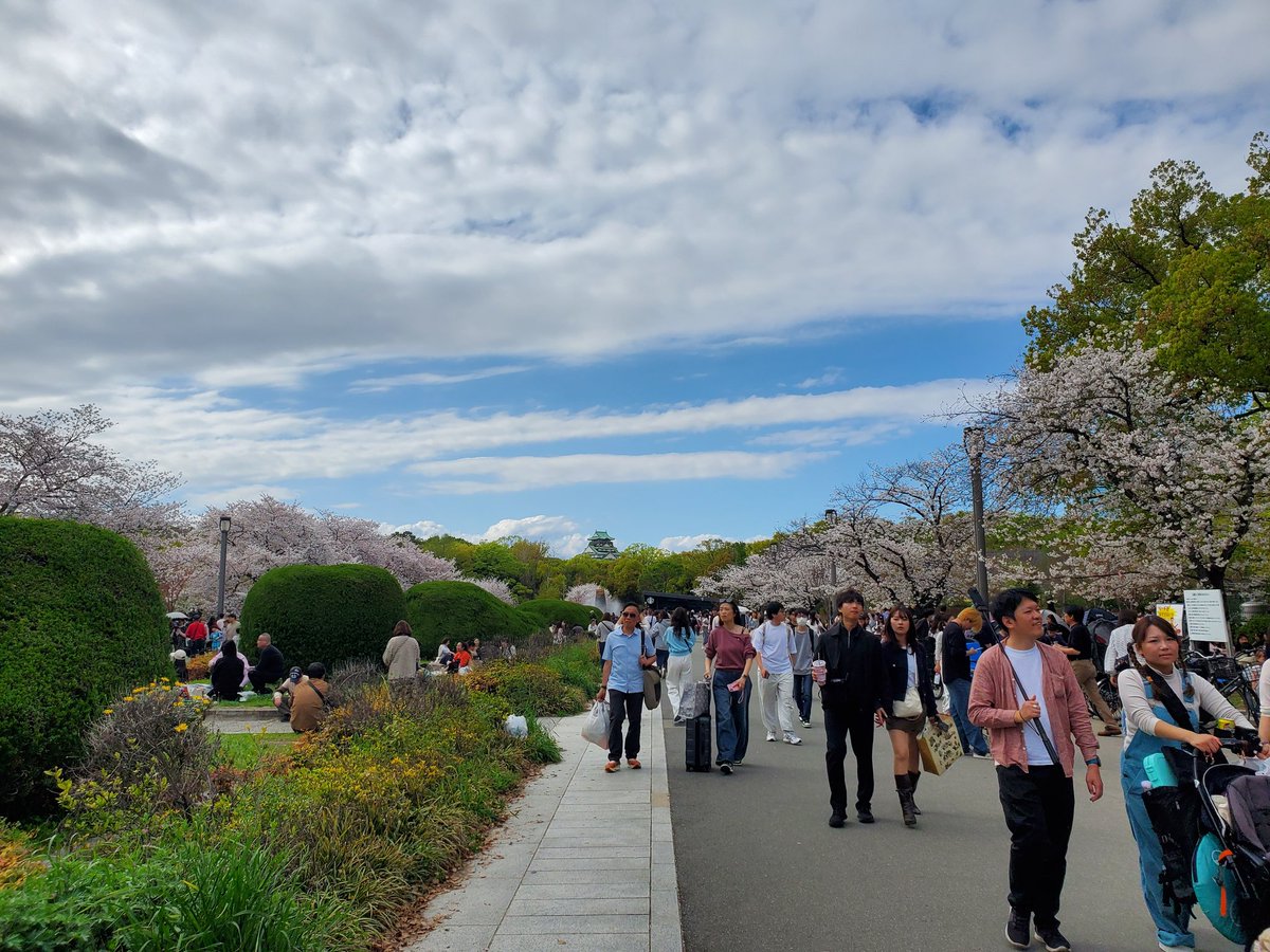 ありす@だらけ™️ tweet media