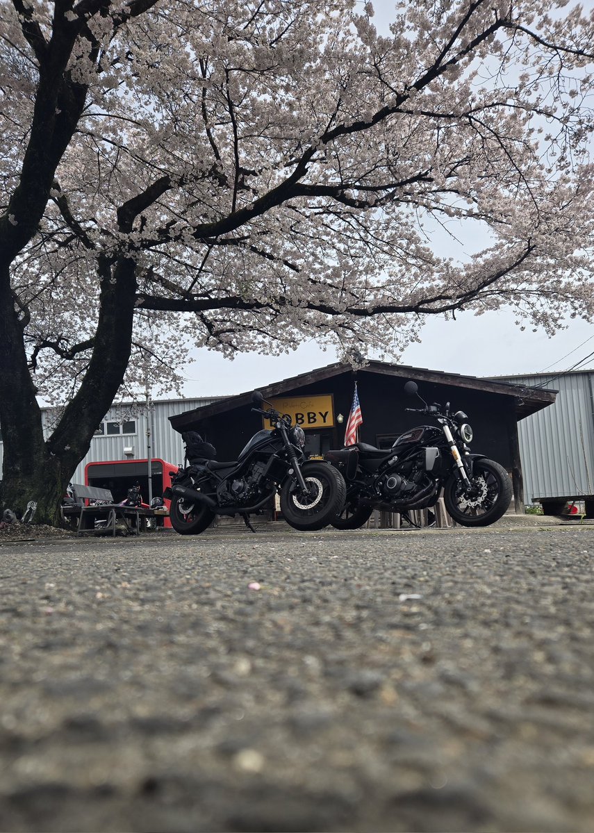 ゆー@バイクが好きなレザー作家 tweet media