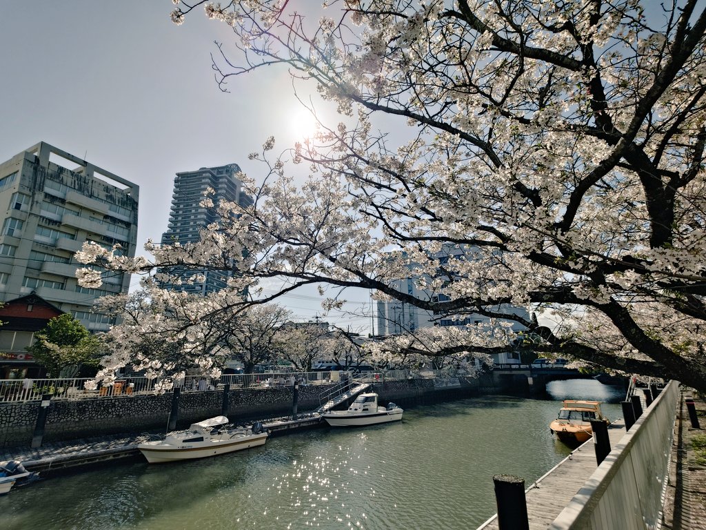 いっちゃん tweet media