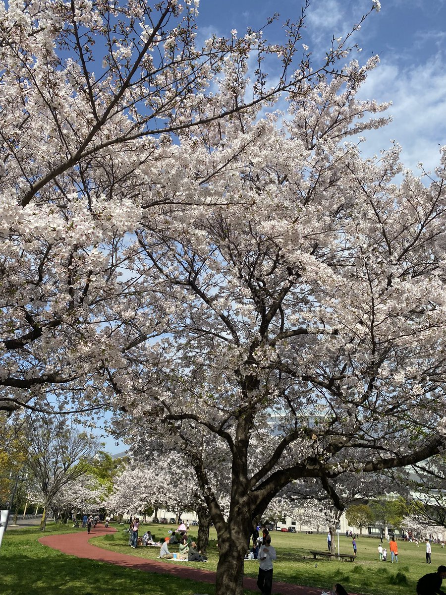 はまちょ tweet media