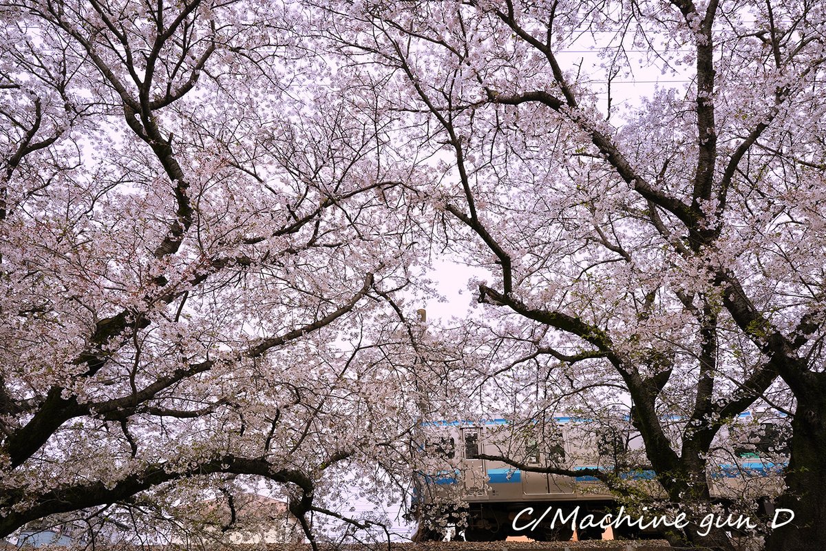 Machine gun D tweet media