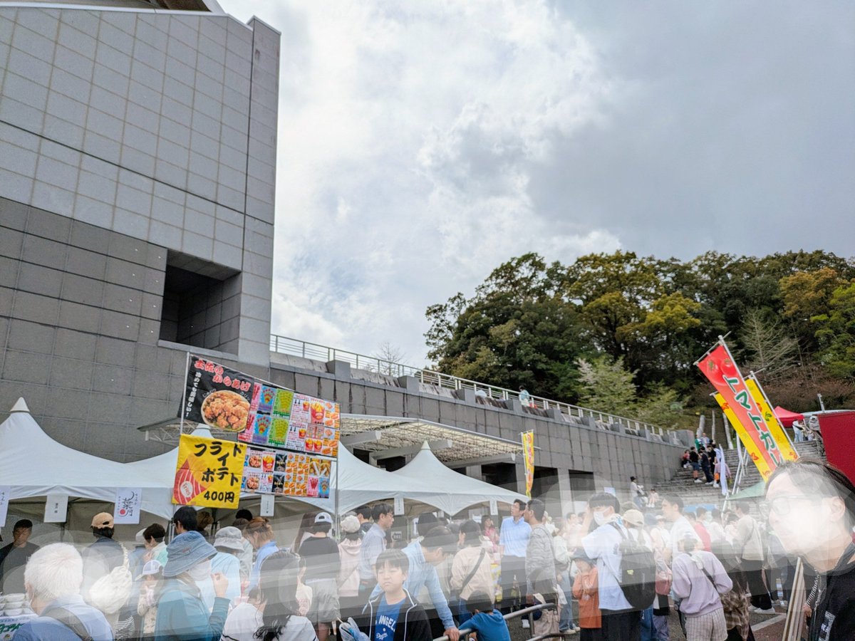 ねむり猫 tweet media