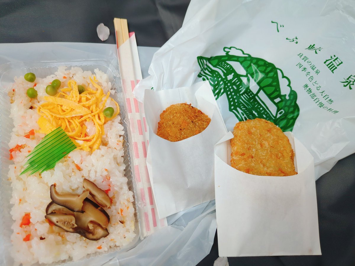 ねむり猫 tweet media