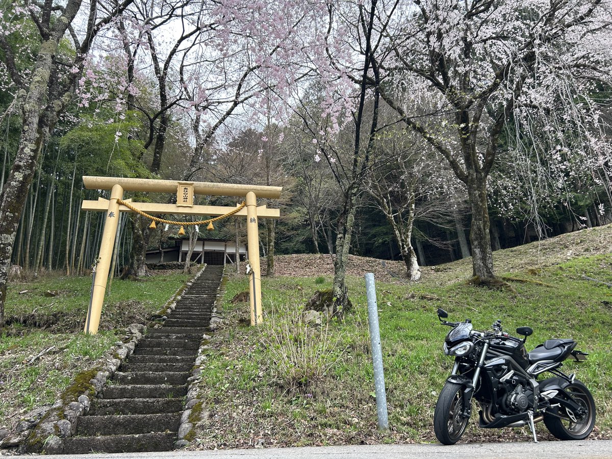 akito_NC's tweet photo. せせらぎ街道に向かってる時に素敵な神社発見✌️
桜綺麗すぎやろ〜👍 https://t.co/VcRHQUGoNz