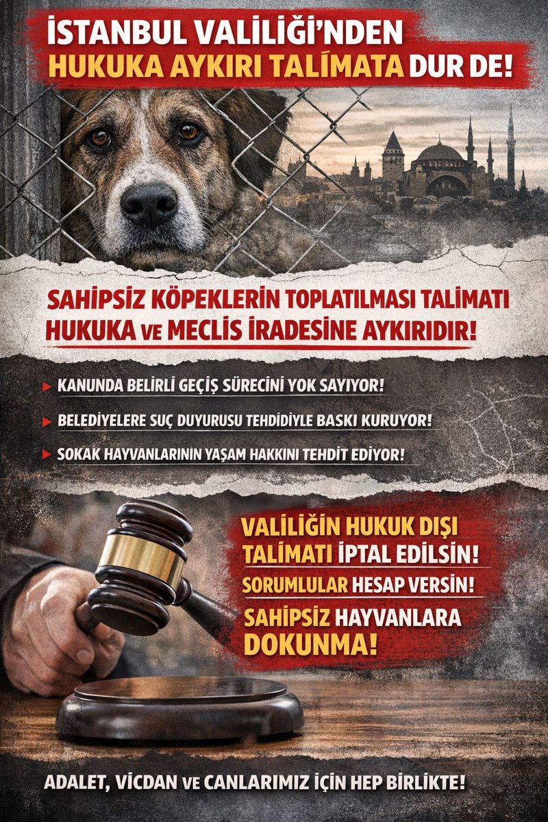 📣İstanbul Valiliği’nin Kanun’un barınak yapılması için 2028 yılı sonuna kadar verdiği süreye aykırı olarak sokak hayvanlarının toplatılması talimatı iptal edilmelidir!

Bu dilekçeyi göndererek ve dilekçe kampanyasını paylaşarak bana destek olur musun?🙏 

jointvoice.com/campaign/775/