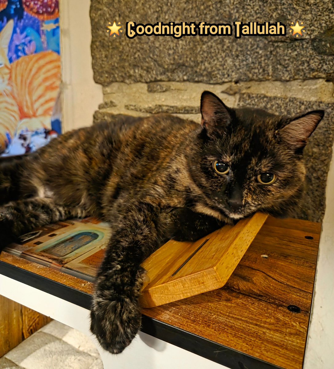 Goodnight from Tallulah 💗