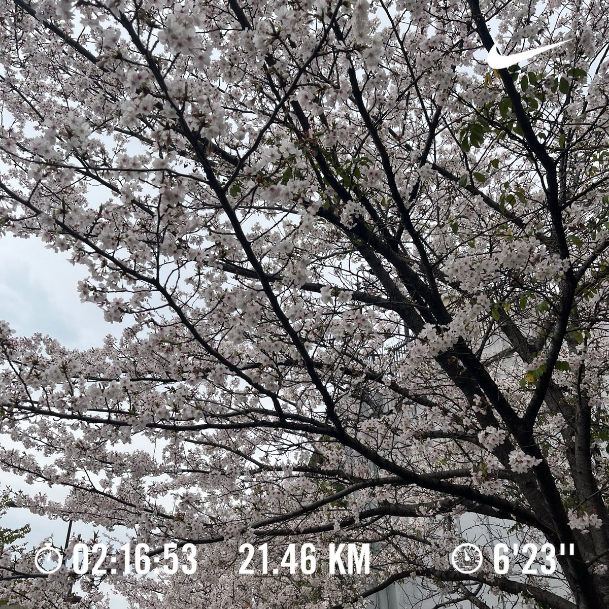 とまあや tweet media