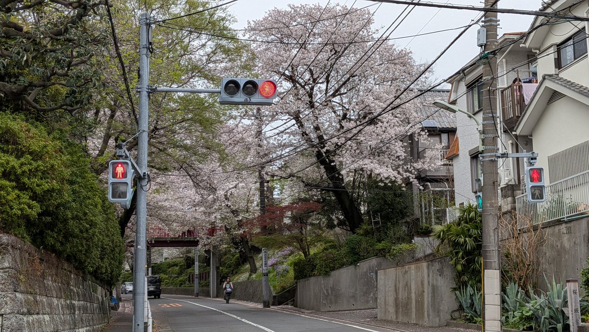 フラバー tweet media