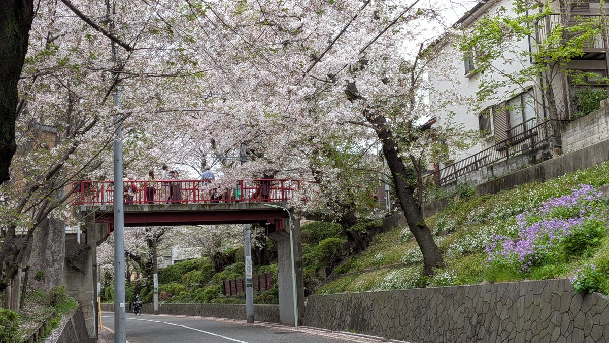 フラバー tweet media