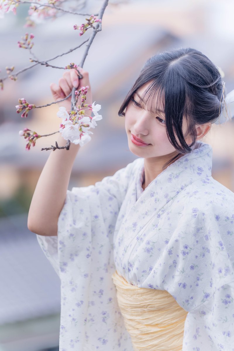 山咲セツナ《美の受信装置》 tweet media