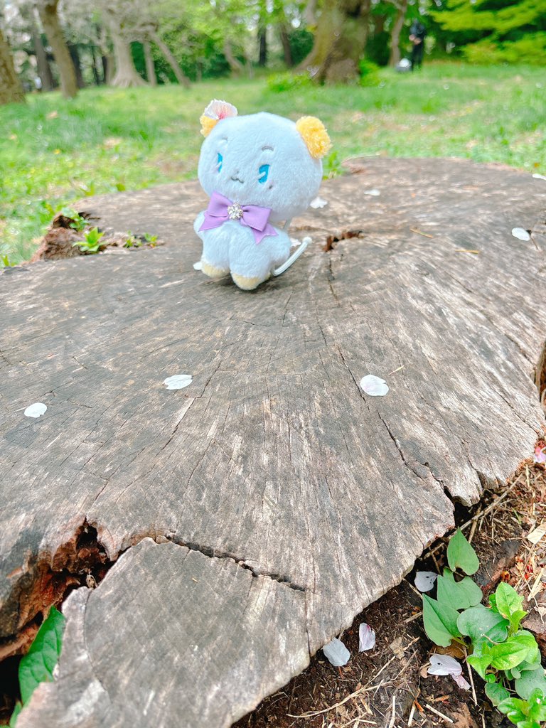 23 ₚₗₐᵥₑ tweet media