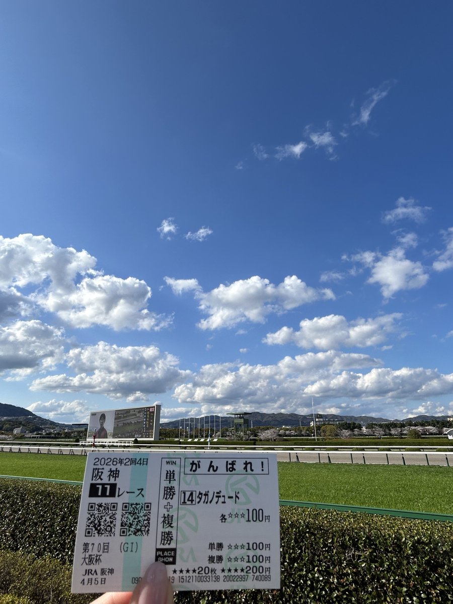 いもぴ🍠 tweet media