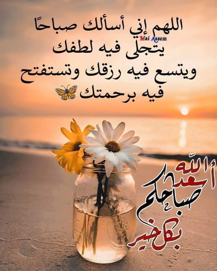 أم حبيبة tweet media