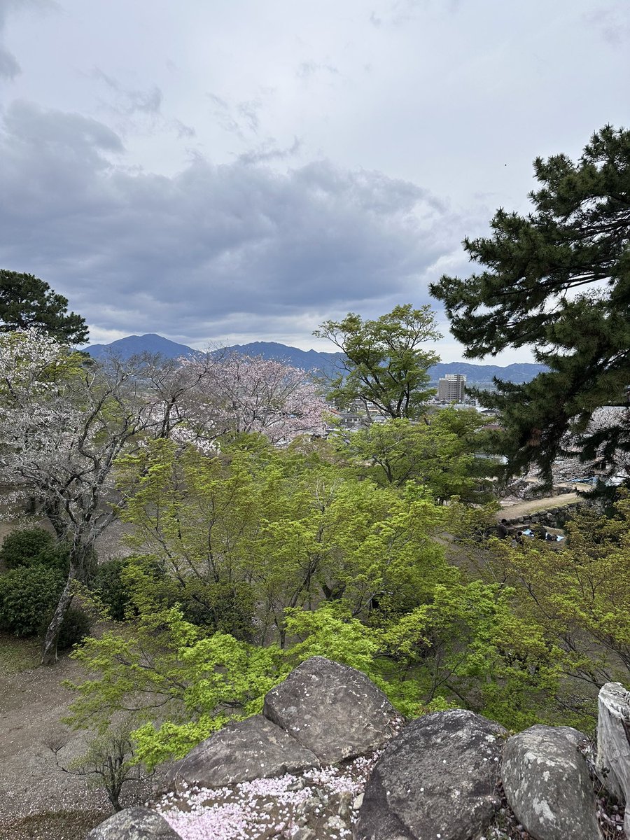 くろべえママ tweet media