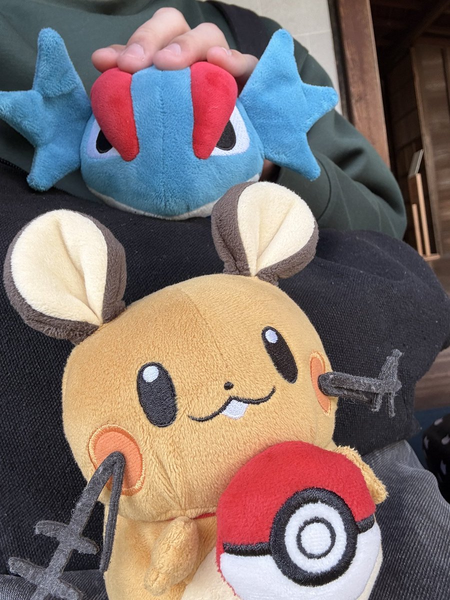 ぼーまんだをたおしたい tweet media