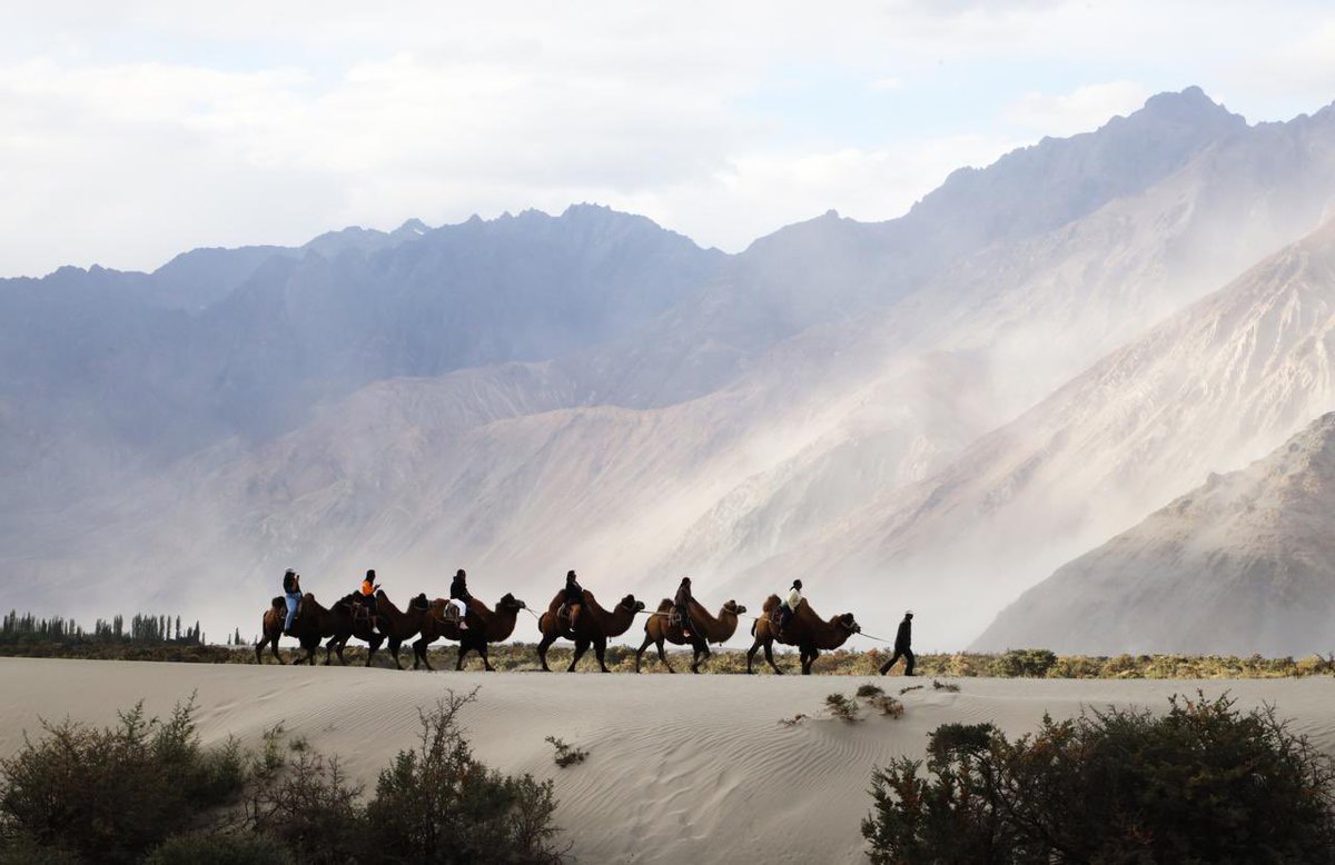 LG Ladakh tweet media