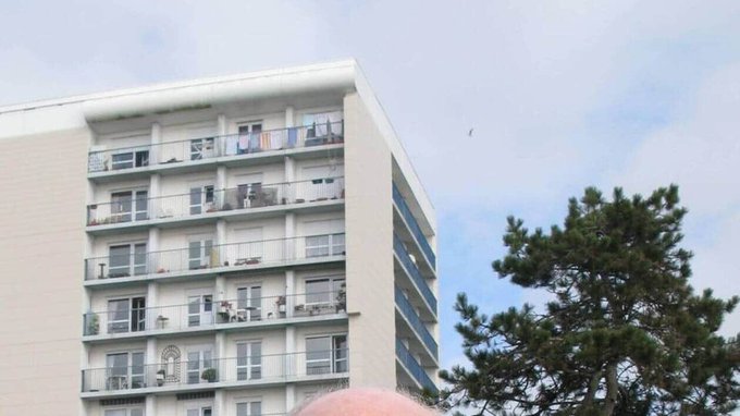 Image de l'actu de Presse Océan