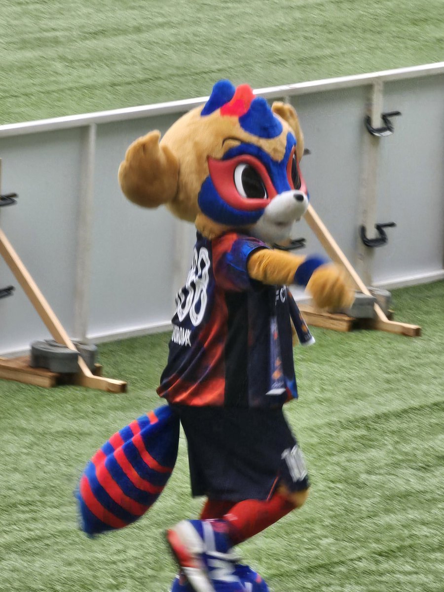 FJまりこ⚽✈️🧳3月🏴󠁧󠁢󠁳󠁣󠁴󠁿🏴󠁧󠁢󠁥󠁮󠁧󠁿6月🇺🇸 tweet media