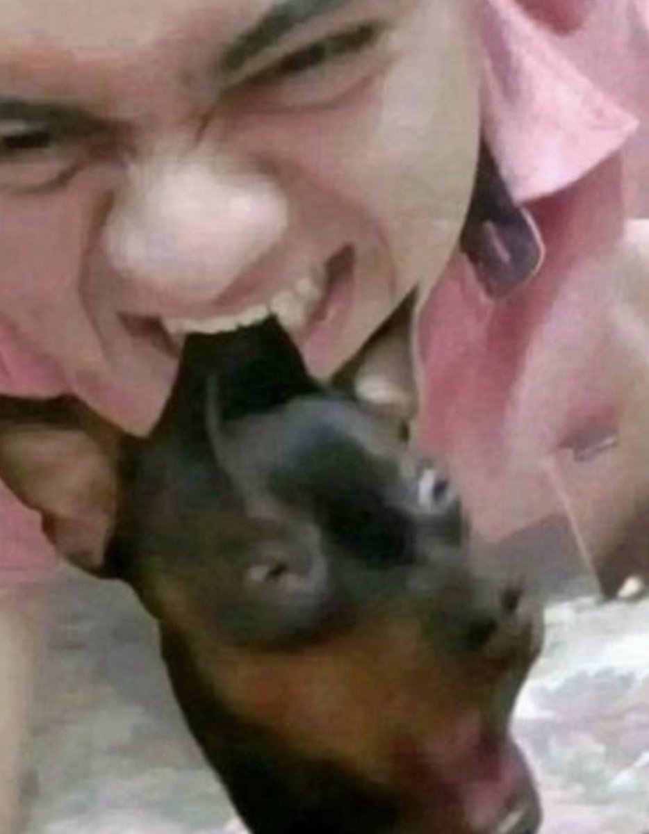 Nightshade ๋࣭ ⭑⚝ tweet media