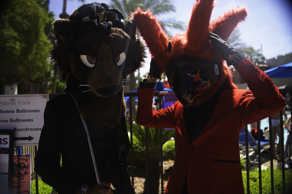 makai ➡️ FWA tweet media